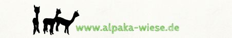 www.alpaka-wiese.de